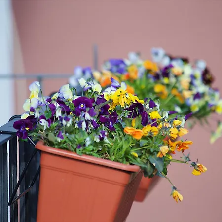 Il Giardino Segreto Oda ve Kahvaltı 4*