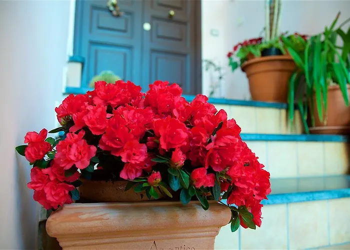 Bed and breakfast Il Giardino Segreto 4*