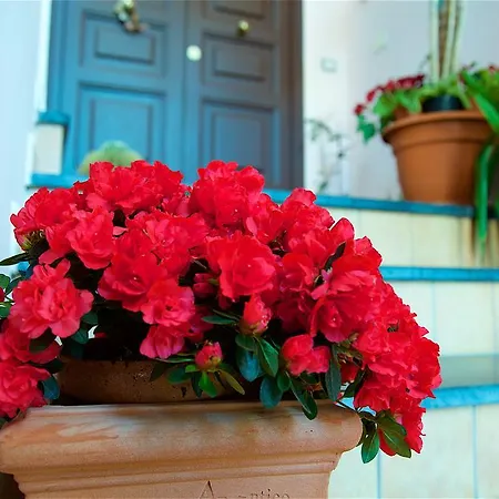 Bed & Breakfast Il Giardino Segreto 4*
