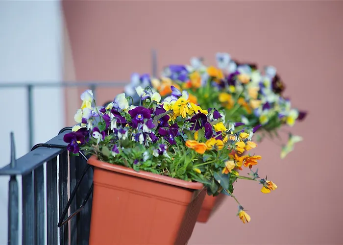 Il Giardino Segreto Panzió 4*
