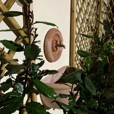 Il Giardino Segreto 3* Półwysep Sorrentyński