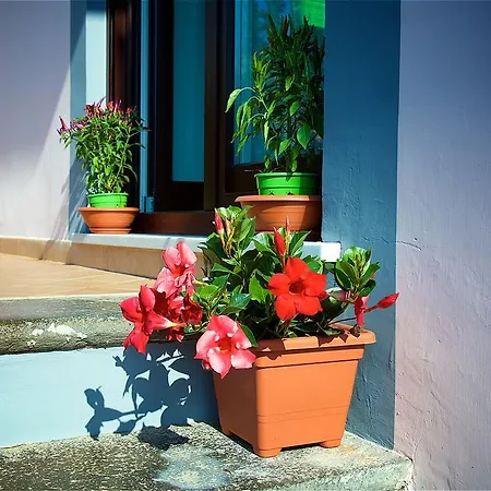 Il Giardino Segreto Nocleg ze śniadaniem Półwysep Sorrentyński