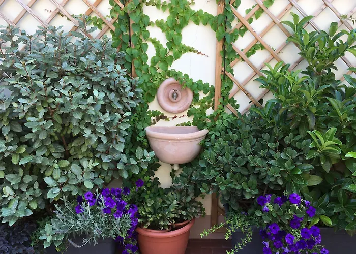 Il Giardino Segreto Bed & Breakfast Sorrento